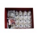 Cupping Set (Professional Cupping Ba Huo Guang) "Millennia" Bland 17 Cups 